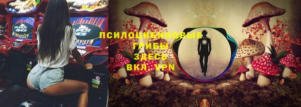 молекула духа Елабуга